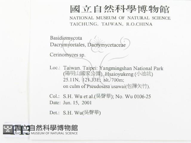 登錄號:F0013450藏品圖，第2張