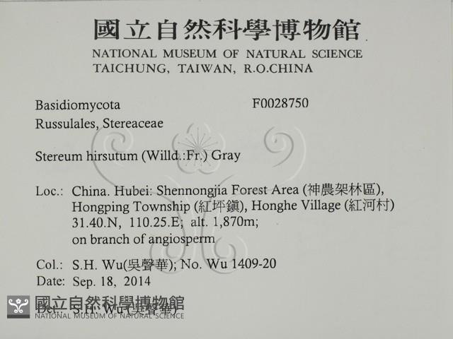 登錄號:F0028750藏品圖，第2張