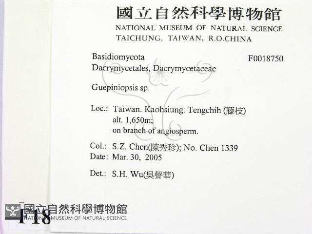 登錄號:F0018750藏品圖，第2張