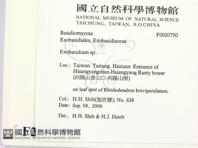 登錄號:F0020750藏品圖，第2張