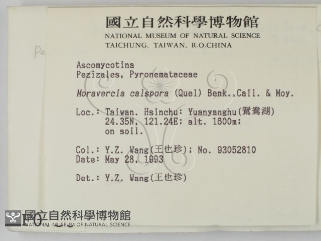 登錄號:F0000750藏品圖，第2張
