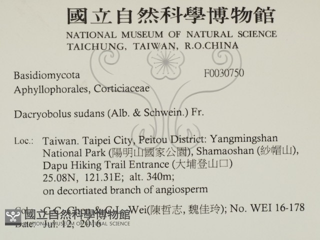 登錄號:F0030750藏品圖，第2張