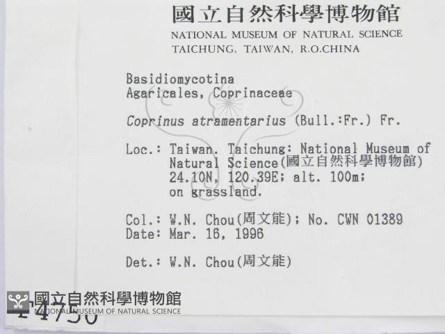 登錄號:F0004750藏品圖，第2張