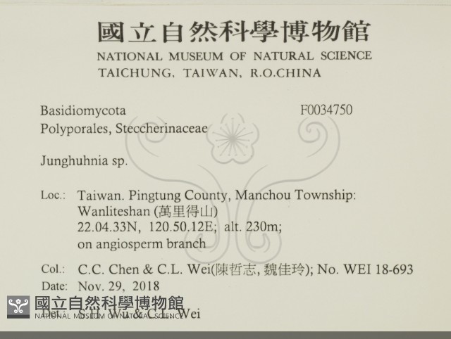 容氏菌屬藏品圖，第2張