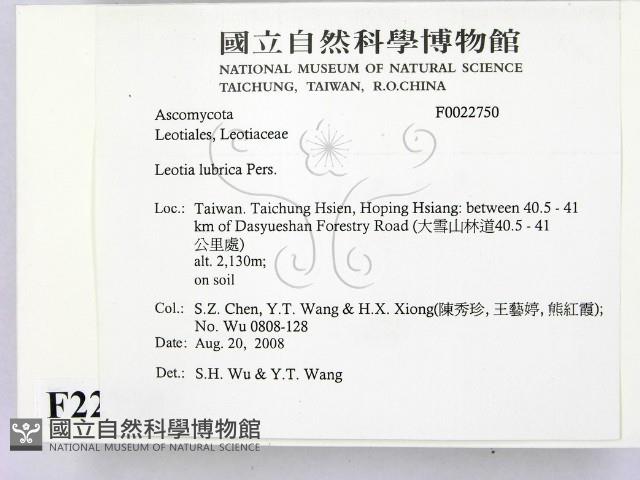 登錄號:F0022750藏品圖，第2張