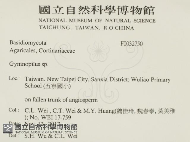 登錄號:F0032750藏品圖，第2張