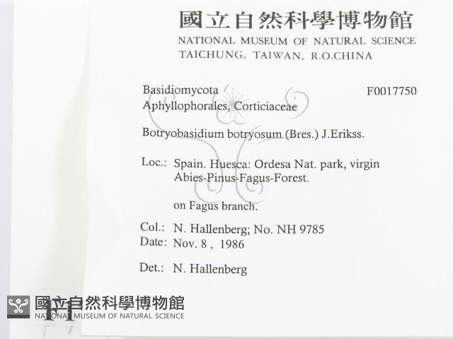 登錄號:F0017750藏品圖，第2張