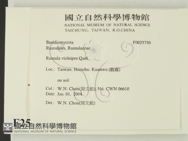 登錄號:F0025750藏品圖，第2張