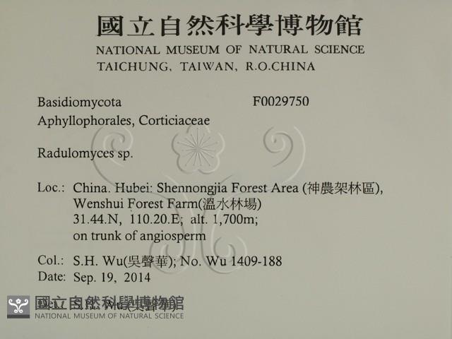 登錄號:F0029750藏品圖，第2張