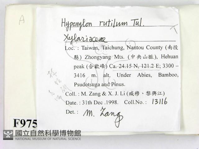 登錄號:F0009750藏品圖，第2張