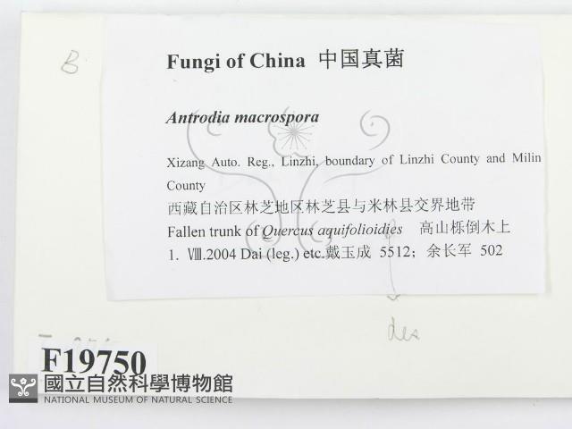 登錄號:F0019750藏品圖，第2張