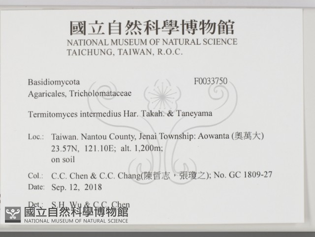 登錄號:F0033750藏品圖，第2張