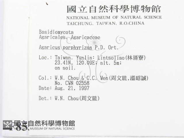 登錄號:F0008550藏品圖，第2張