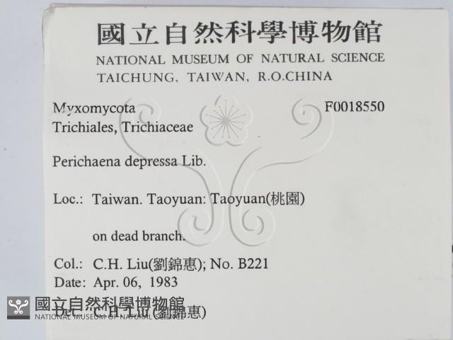 登錄號:F0018550藏品圖，第2張