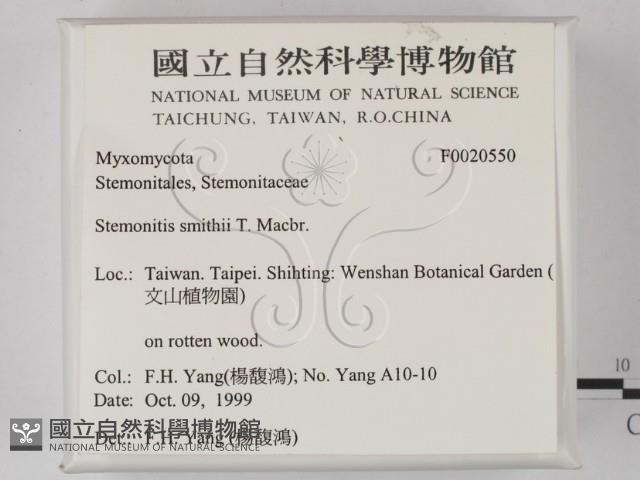 登錄號:F0020550藏品圖，第2張