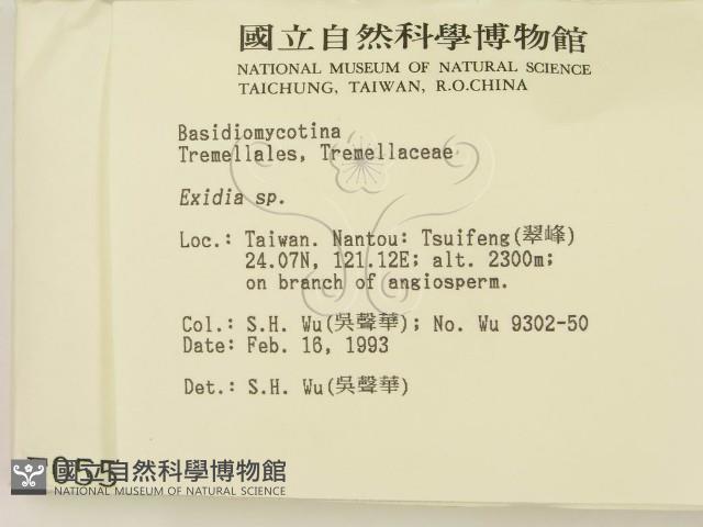 登錄號:F0000550藏品圖，第2張