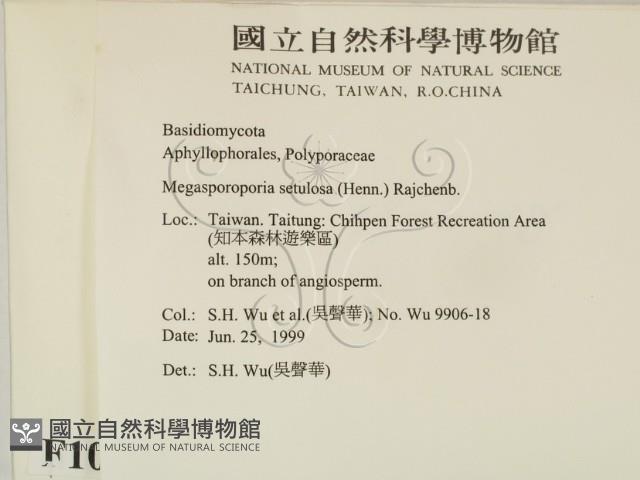 登錄號:F0010550藏品圖，第2張