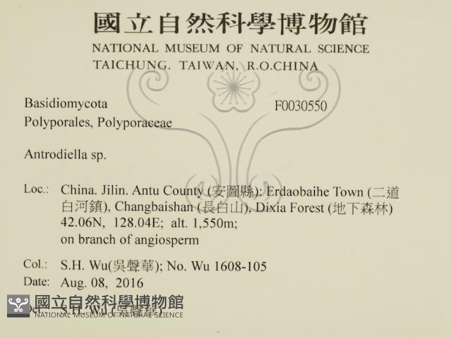 登錄號:F0030550藏品圖，第2張