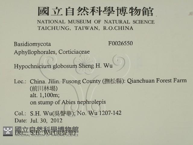 登錄號:F0026550藏品圖，第2張