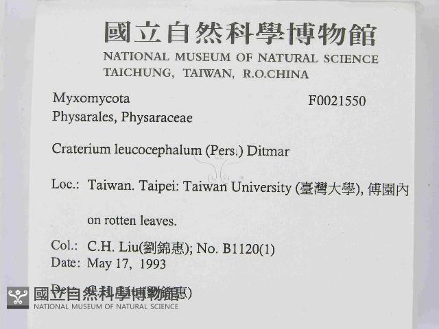 登錄號:F0021550藏品圖，第2張