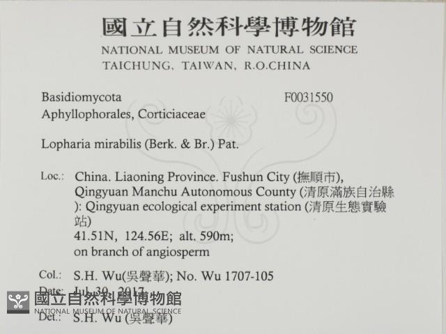 登錄號:F0031550藏品圖，第2張