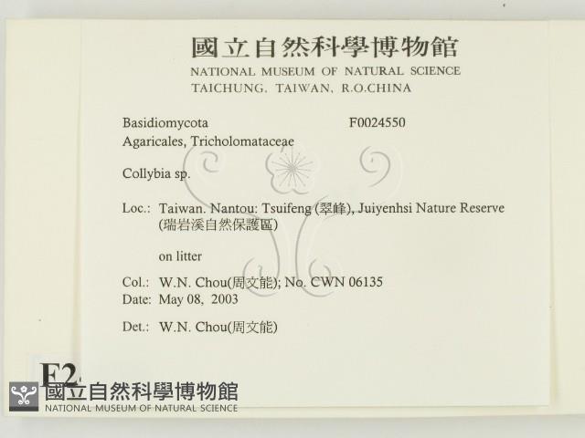 登錄號:F0024550藏品圖，第2張