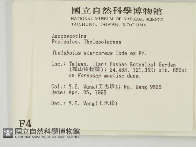登錄號:F0004550藏品圖，第2張
