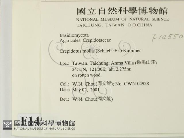 登錄號:F0014550藏品圖，第2張