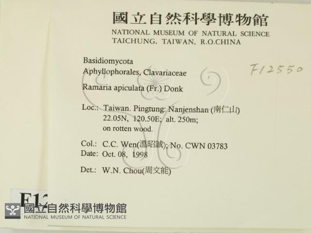 登錄號:F0012550藏品圖，第2張