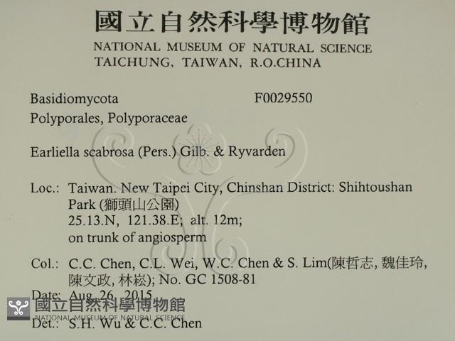 登錄號:F0029550藏品圖，第2張