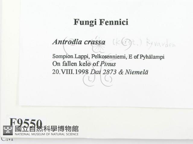 登錄號:F0009550藏品圖，第2張