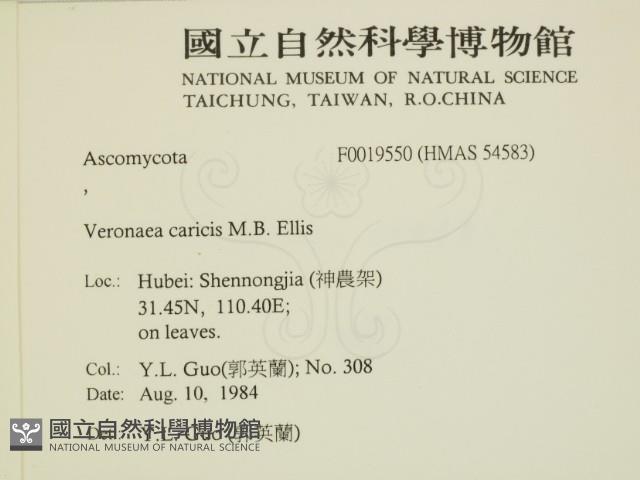 登錄號:F0019550藏品圖，第2張