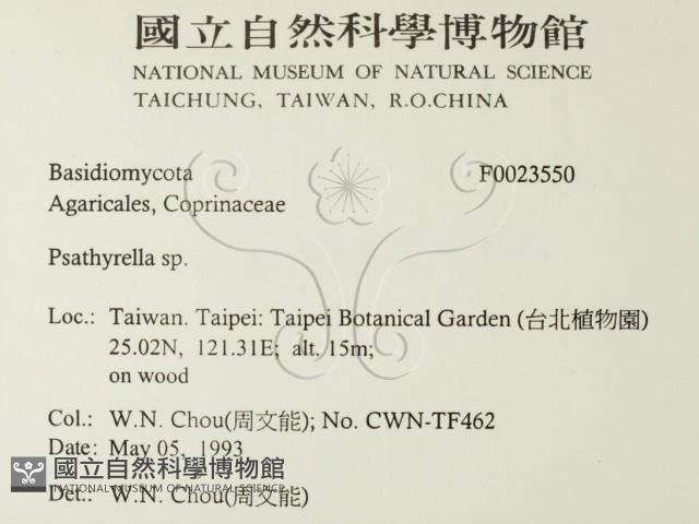 登錄號:F0023550藏品圖，第2張