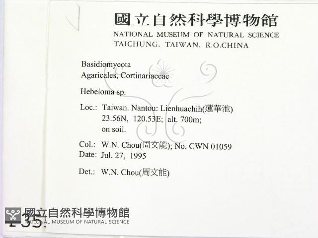 登錄號:F0003550藏品圖，第2張