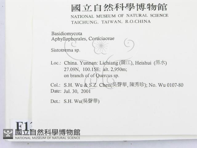 登錄號:F0013550藏品圖，第2張