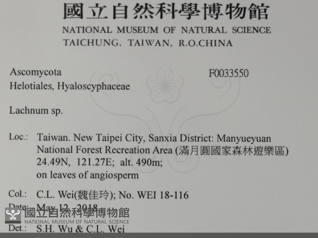 登錄號:F0033550藏品圖，第2張