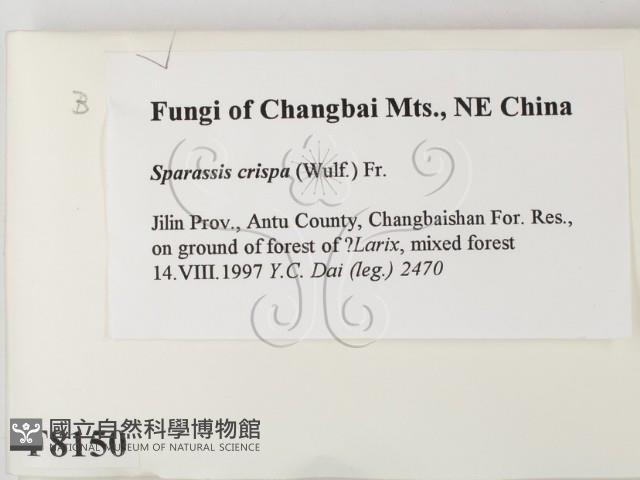 登錄號:F0008150藏品圖，第2張