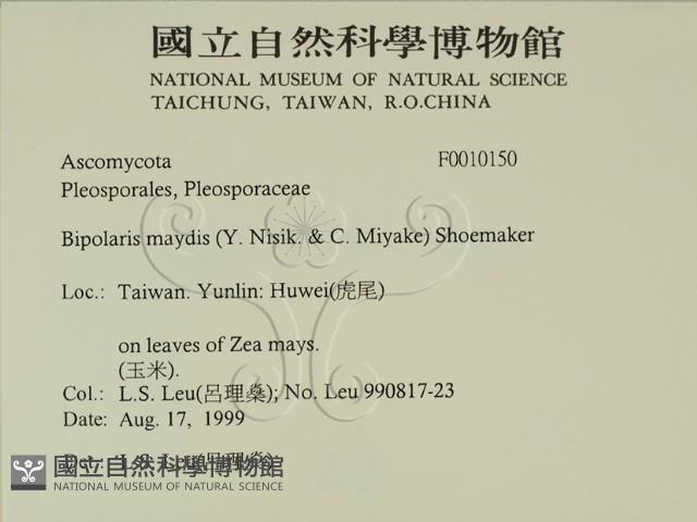 登錄號:F0010150藏品圖，第2張