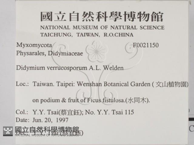 登錄號:F0021150藏品圖，第2張