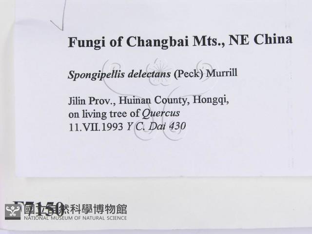 登錄號:F0007150藏品圖，第2張