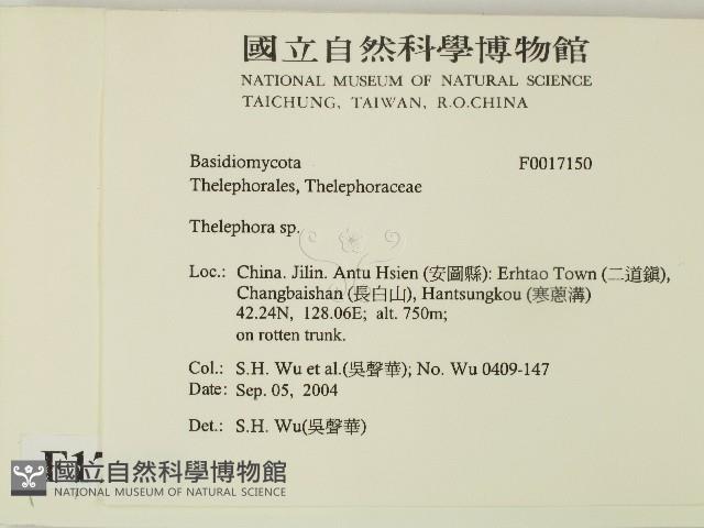 革菌屬藏品圖，第2張