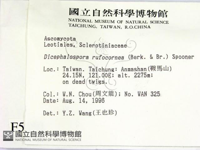 登錄號:F0005150藏品圖，第2張