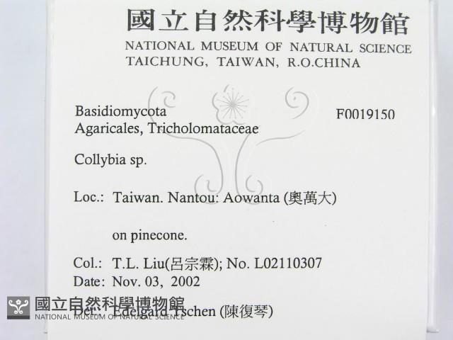 登錄號:F0019150藏品圖，第2張