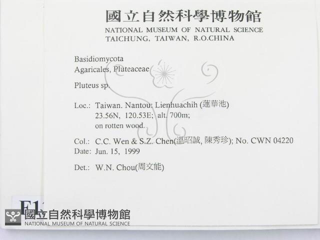 登錄號:F0013150藏品圖，第2張