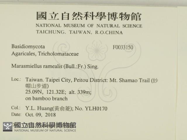 登錄號:F0033150藏品圖，第2張