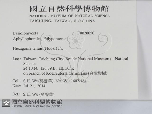 登錄號:F0028050藏品圖，第2張