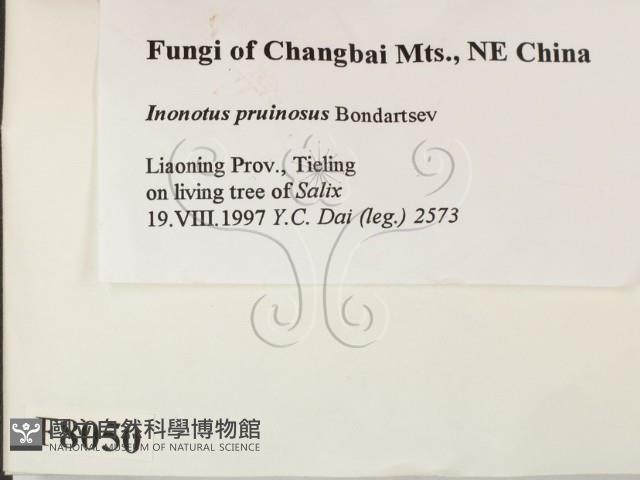 登錄號:F0008050藏品圖，第2張