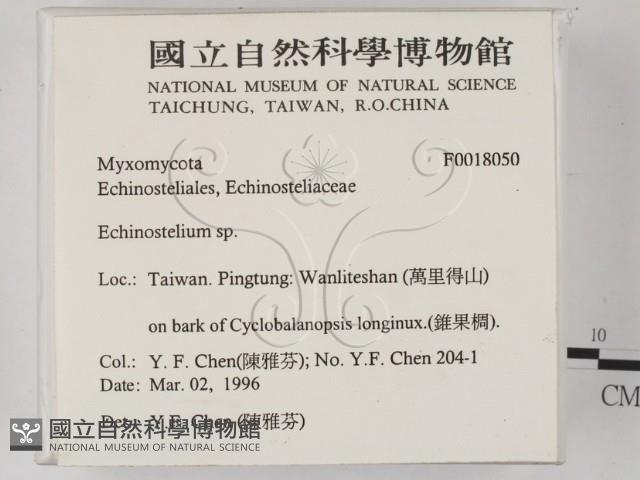 登錄號:F0018050藏品圖，第2張