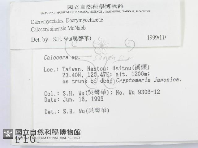 館號:F0001050藏品圖，第2張