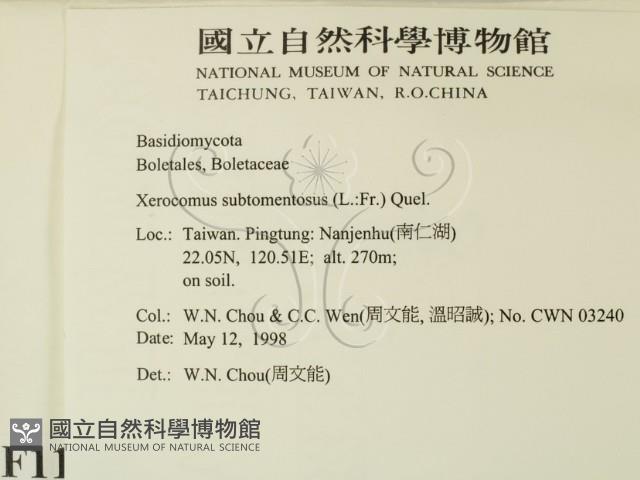 登錄號:F0011050藏品圖，第2張